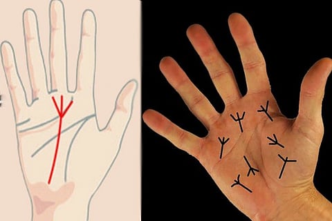 Trident Mark in Palm