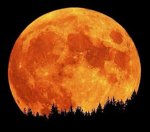 UDP-16-4-Moon