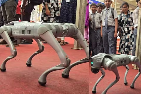 ai dog
