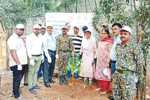 bbmp cleaning