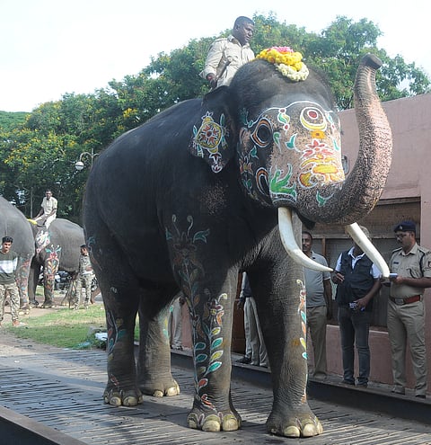 mysore