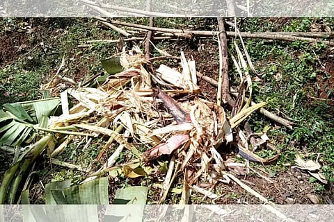 damage