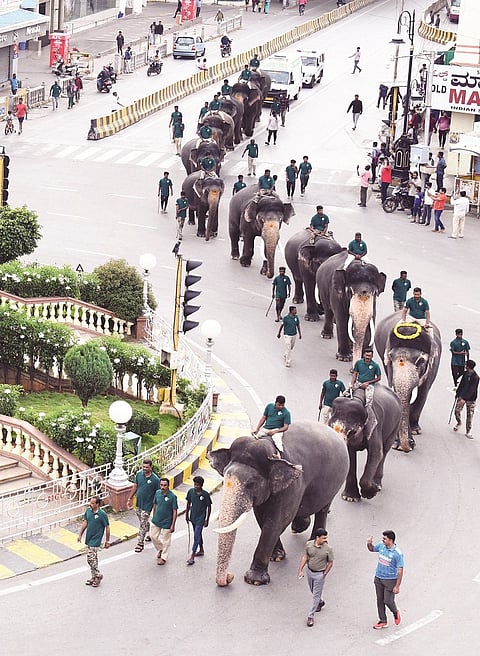 mysore