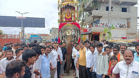 elephant