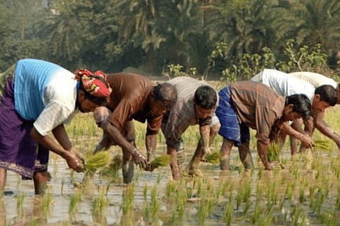 minimum wages hike: ಕಾರ್ಮಿಕರಿಗೆ ಉಡುಗೊರೆ ನೀಡಿದ ಕೇಂದ್ರ ಸರ್ಕಾರ: ಕೃಷಿ, ಕೈಗಾರಿಕೆಗಳಲ್ಲಿ ದುಡಿಯುವ ವರ್ಗಕ್ಕೆ ಕನಿಷ್ಠ ವೇತನ ಹೆಚ್ಚಳ