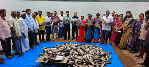 fishery