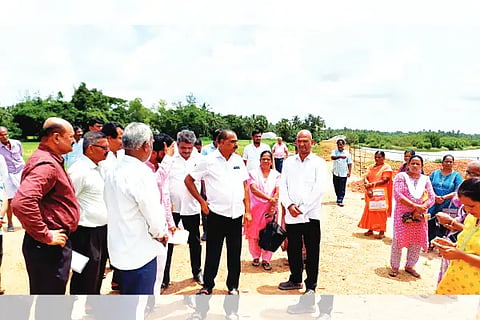 mla