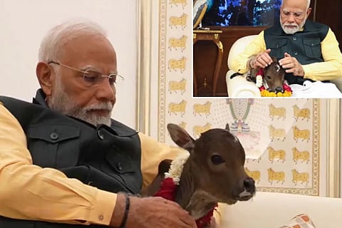 modi
