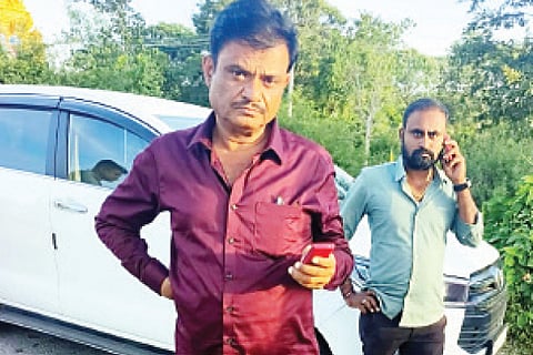 mla