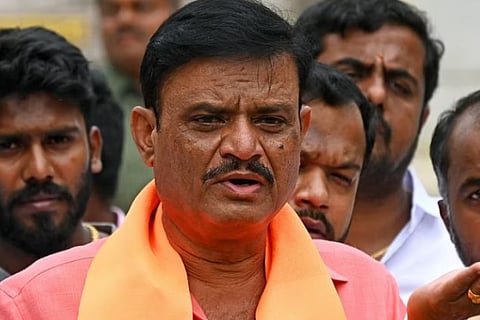 mla