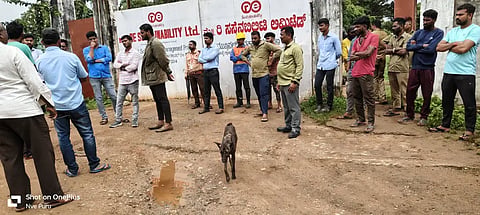 protest