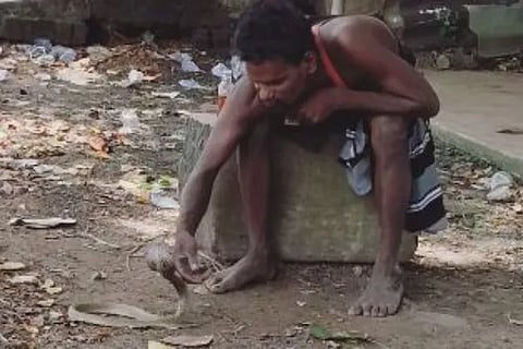 snake