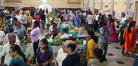mysore