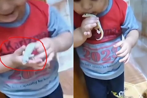 video
