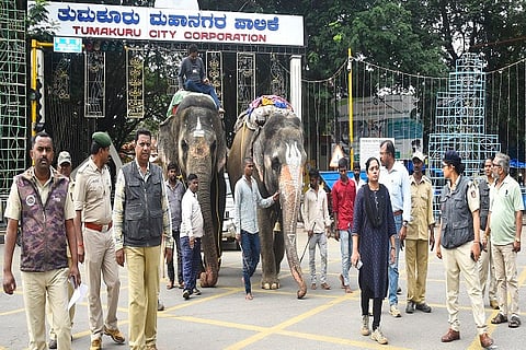 ಆನೆ1
