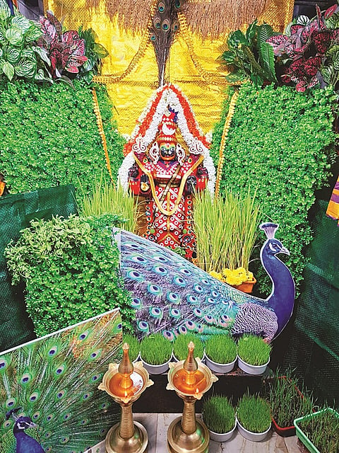 ಮದ್ದೂರು ಪಟ್ಟಣದ ಶ್ರೀ ಕಾಶಿ ವಿಶ್ವೇಶ್ವರ ಸ್ವಾಮಿ ದೇವಾಲಯದಲ್ಲಿ ವಿಶಾಲಾಕ್ಷಿ ಅಮ್ಮನವರಿಗೆ ವಿಶೇಷ ಕುಂಕುಮ ಅಲಂಕಾರ ಮಾಡಲಾಗಿತ್ತು.
