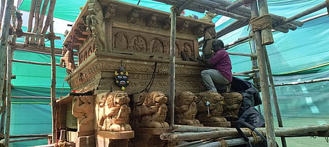 10 Arakera Photo 01 (2)