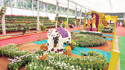 ಗಮನಸೆಳೆಯುತ್ತಿರುವ ಫಲಪುಷ್ಪ ಪ್ರದರ್ಶನ