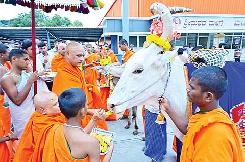 ಆದಿಚುಂಚನಗಿರಿ ಮಠದಲ್ಲಿ ಆಯುಧ ಪೂಜೆ, ವಿಜಯದಶಮಿ