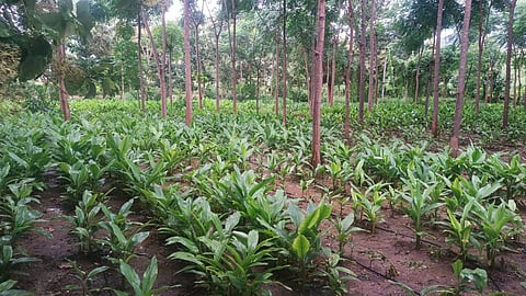 12rajesh6
