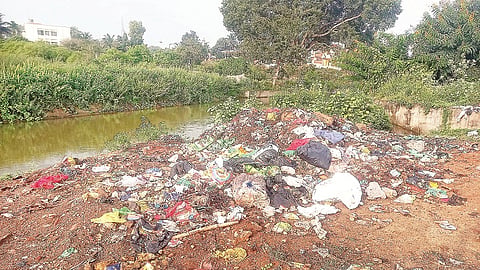 ಕೆ.ಆರ್.ನಗರ ಪಟ್ಟಣದ ಎಸ್‌ಸಿವಿಡಿಎಸ್ ಚಿತ್ರಮಂದಿರ ಸಮೀಪದಲ್ಲಿರುವ ಚಾಮರಾಜ ಬಲದಂಡೆ ನಾಲೆ ಏರಿ ಮೇಲೆ ಸಂಗ್ರಹವಗಿರುವ ಕಸದ ರಾಶಿ.