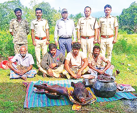 ಕಾಡು ಹಂದಿ ಬೇಟೆಯಾಡಿದ್ದ ನಾಲ್ವರ ಬಂಧನ