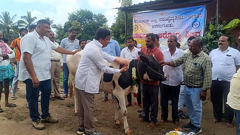 ಜಾನುವಾರುಗಳಿಗೆ ತಪ್ಪದೆ ಲಸಿಕೆ ಹಾಕಿಸಿ