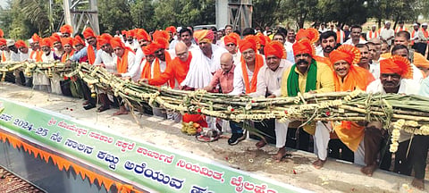 25blh1 someshwar sigars