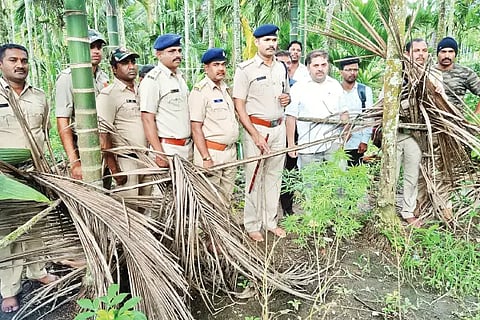28 HHR P 05 ganga