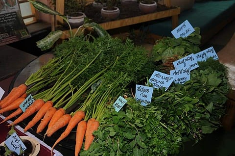 3 Soppu mela