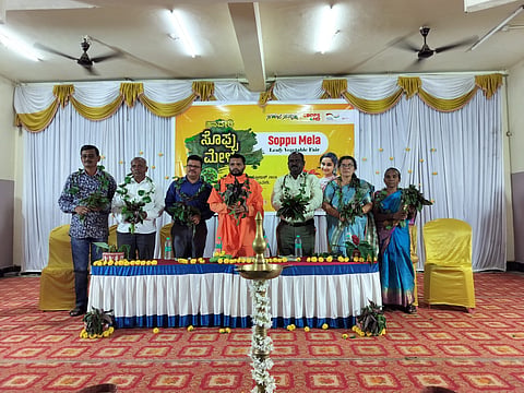5 Soppu mela B