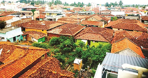 ಪಾಂಡವಪುರ ತಾಲೂಕಿನ ರಾಗಿಮುದ್ದನಹಳ್ಳಿ ಗ್ರಾಮದ ಪಕ್ಷಿನೋಟ.