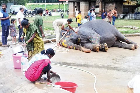 Abhimanyu
