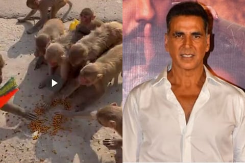 Akshay Kumar donates Rs 1 crore to support monkey feeding