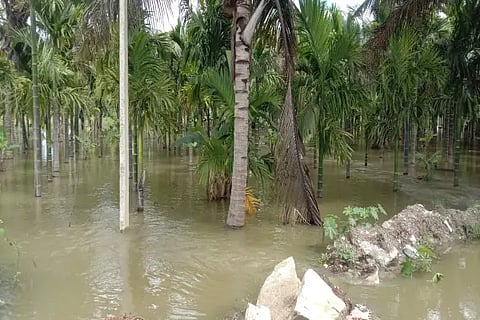 BIRUR rain-1