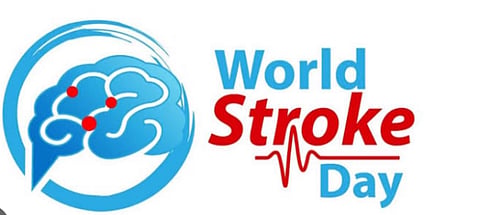 Brain-1