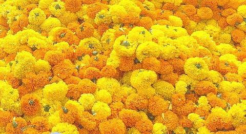 CHANDU HU