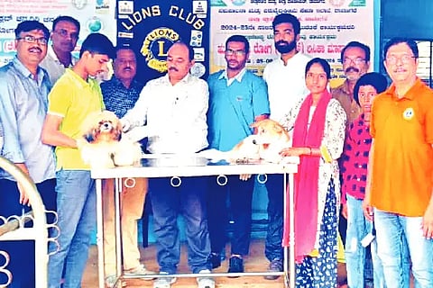 Channagiri, pet dog, rabies, vaccine,