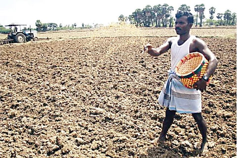 Farmer