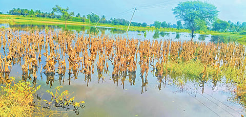 GTL CROP WATER