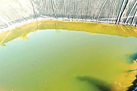 Jagaluru, agricultural pit, death,