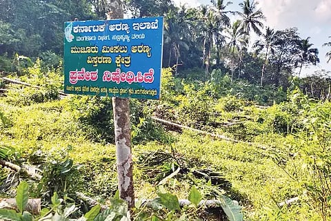 Kdb_land-encroachment