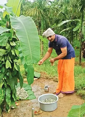 Koppa bumi