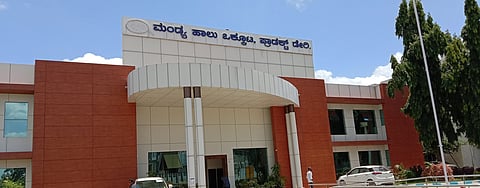 Manmul Election for the post of Director Mandya