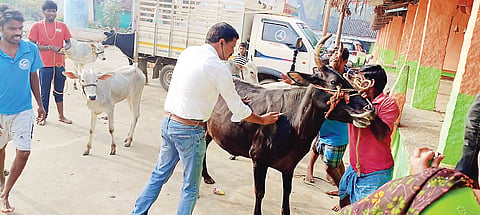 ರಾಸುಗಳನ್ನು ರೋಗದಿಂದ ಪಾರು ಮಾಡಿ