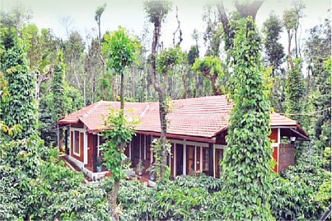 Plantation