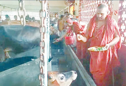 SIRSI SWARNAVALLI