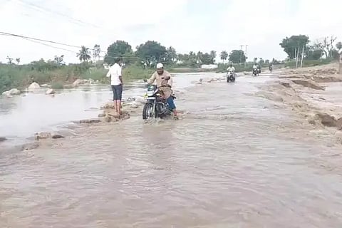 Struggle to cross the bear pit