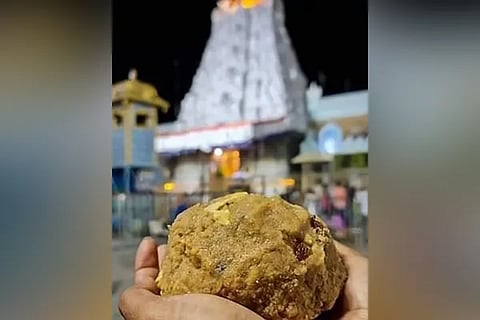Tirupati Laddu