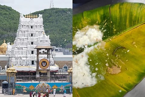 Tirupati Prasadam
